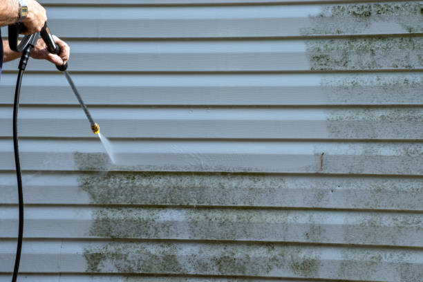 Best Insulated Siding Installation  in Ellisburg, NJ