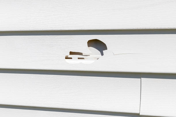 Best Siding Painting and Refinishing  in Ellisburg, NJ