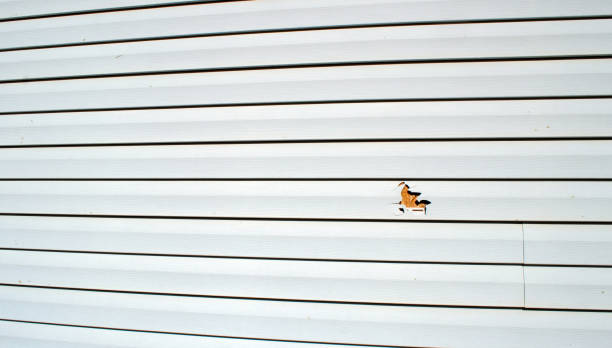 Professional Siding Installation & Repair in Ellisburg, NJ