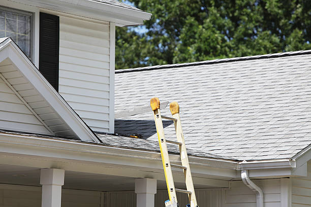 Best Siding Repair  in Ellisburg, NJ