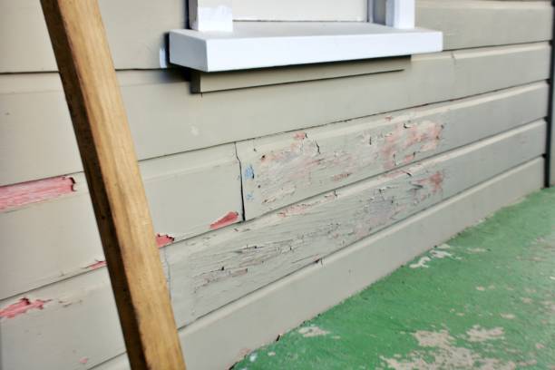 Best Composite Siding  in Ellisburg, NJ